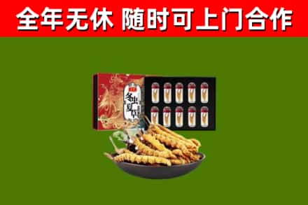 庆阳回收冬虫夏草价格